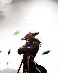 不可抗拒是成语吗